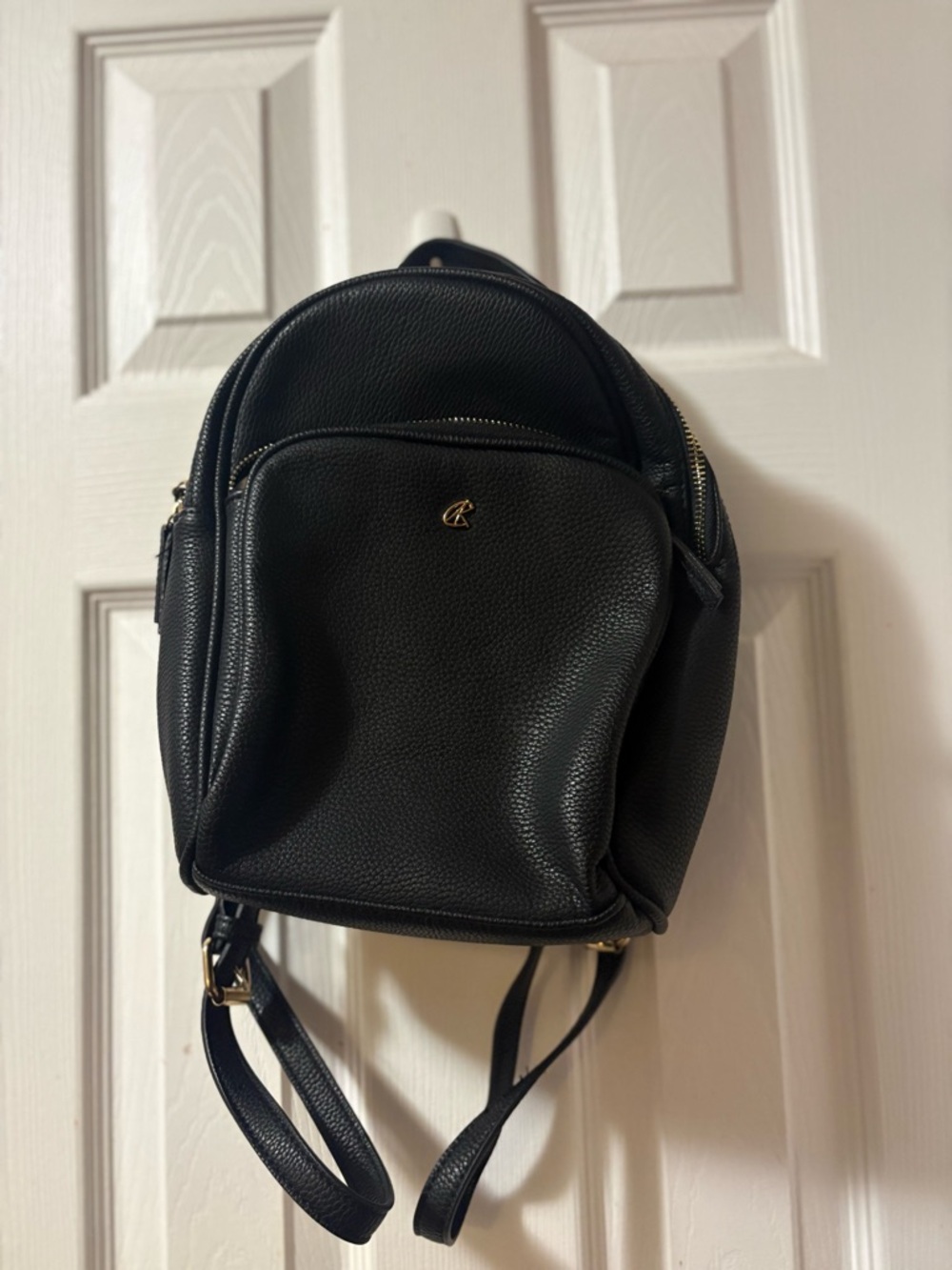 Black Pebbled Leather Mini Backpack with Gold Accent